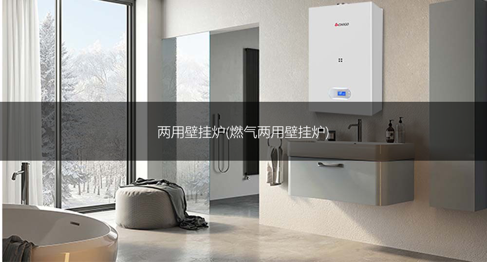 两用壁挂炉(燃气两用壁挂炉)