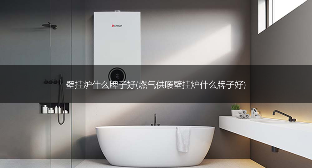壁挂炉什么牌子好(燃气供暖壁挂炉什么牌子好)