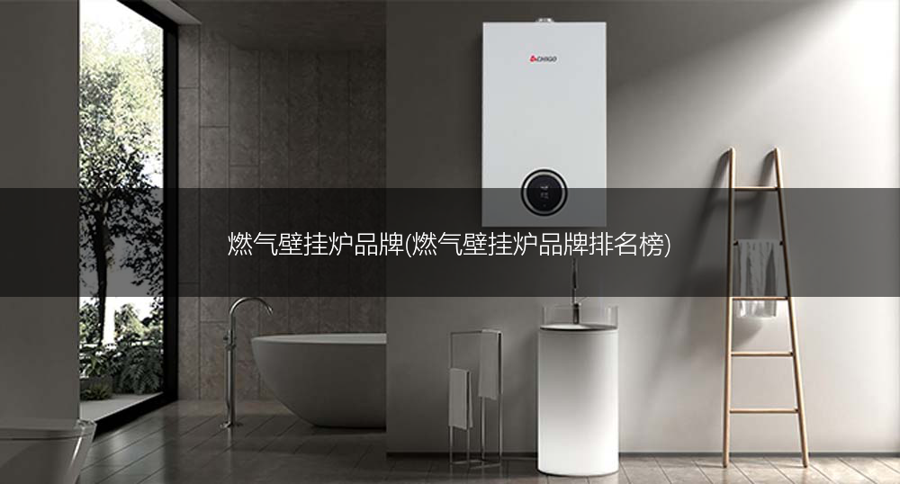 燃气壁挂炉品牌(燃气壁挂炉品牌排名榜)